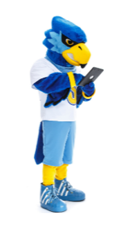 Rally the Raider standing and typing on a laptop